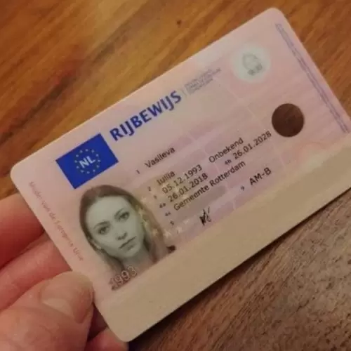 Buy Dutch driving license online