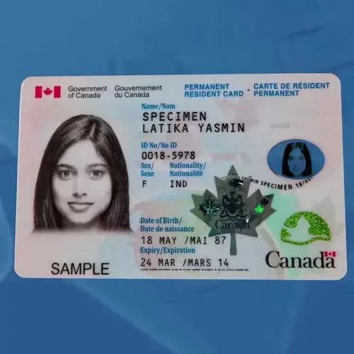 Buy Canadian ID Card Online